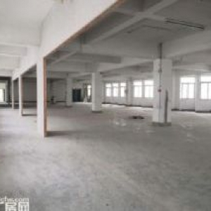 城东南浦工业区整栋厂房诚意出租一万平城东 洛江&