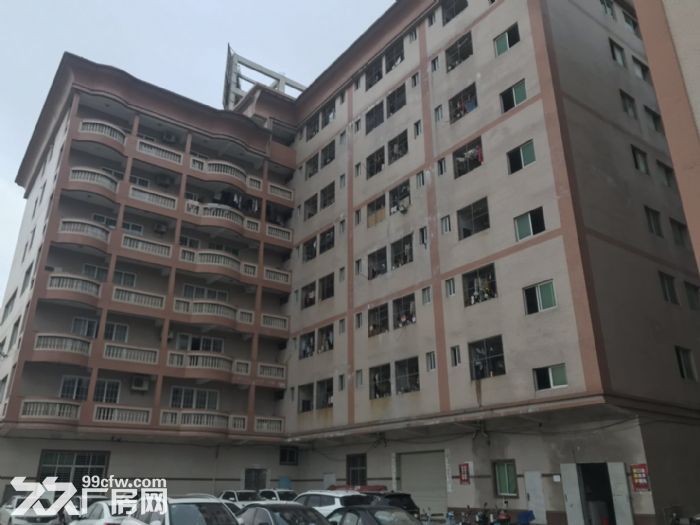 晋江西滨工业区厂房宿舍办公楼出租，交通便利，大挂车可进入厂区