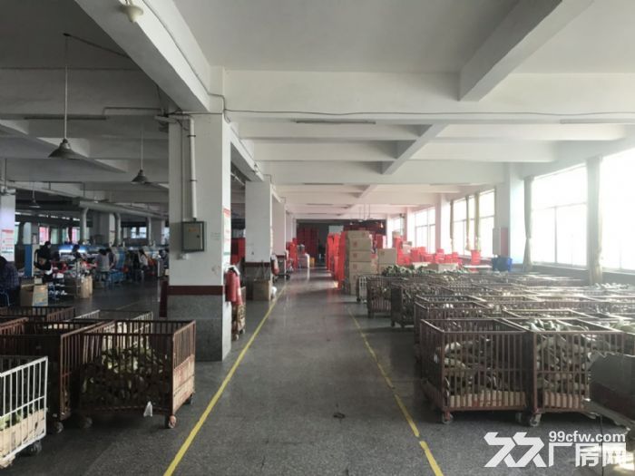 晋江西滨工业区厂房宿舍办公楼出租，交通便利，大挂车可进入厂区-图3
