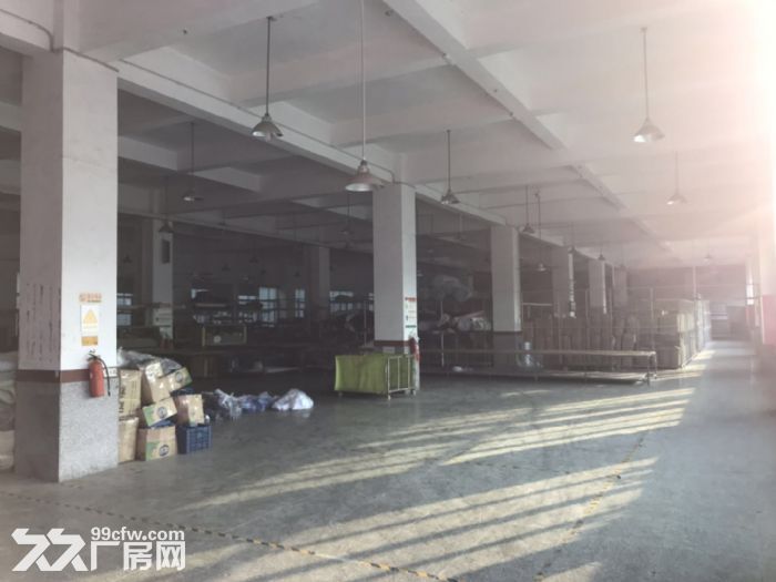 晋江西滨工业区厂房宿舍办公楼出租，交通便利，大挂车可进入厂区-图4