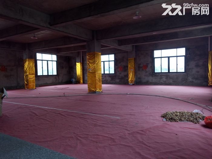 楼房出租，单层400平，带电梯，可整租也可分层租-图4