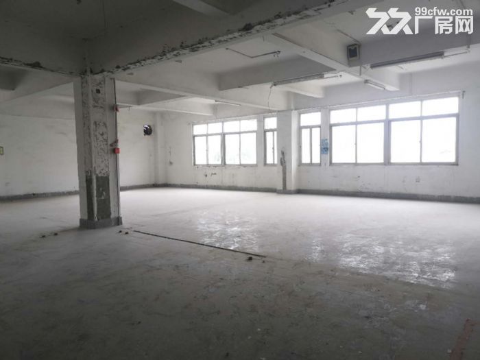 城东写字楼中凡大厦，超值9000平整层出租，省钱又省心-图3