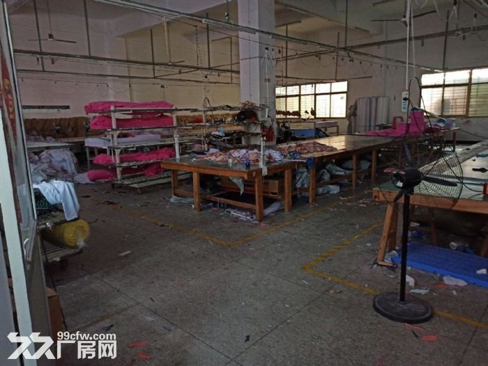 浮桥坂头工业区一楼厂房可做生产或仓库