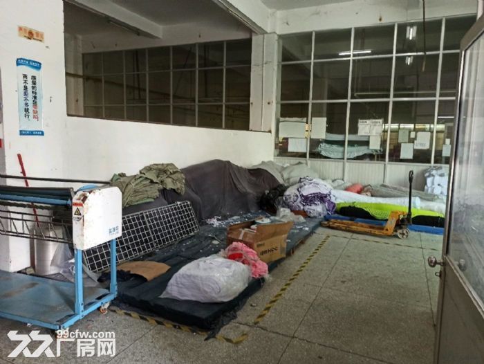 浮桥坂头工业区一楼厂房可做生产或仓库-图3