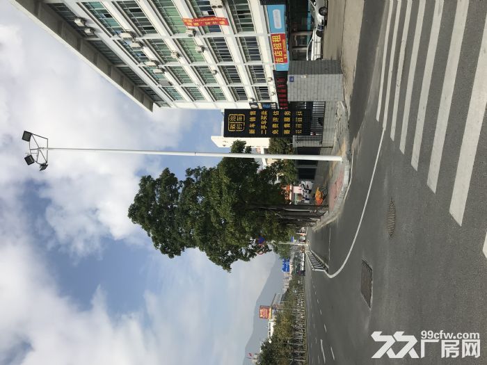 优质临街店铺招租，厂房写字楼招租-图3