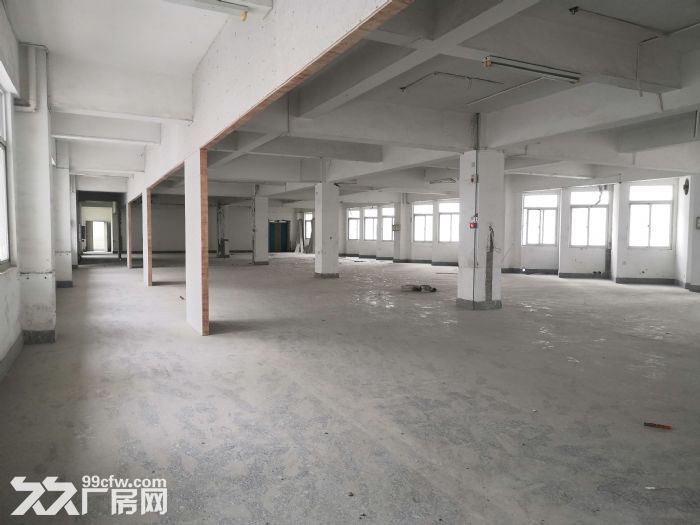 城东南浦工业区整栋厂房诚意出租一万平城东 洛江 有意向联系