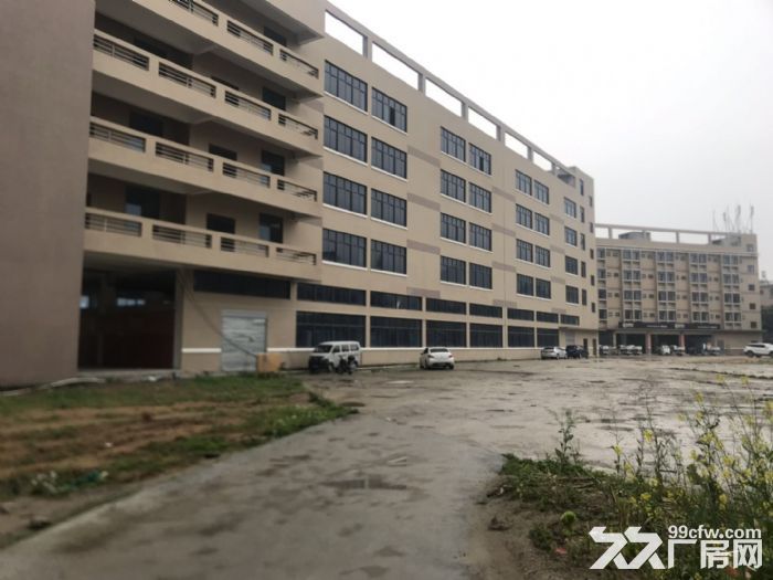 城东南浦工业区整栋厂房诚意出租一万平城东 洛江 有意向联系-图4