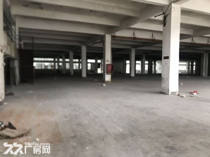城东南浦工业区整栋厂房诚意出租一万平城东 洛江 有意向联系-图5