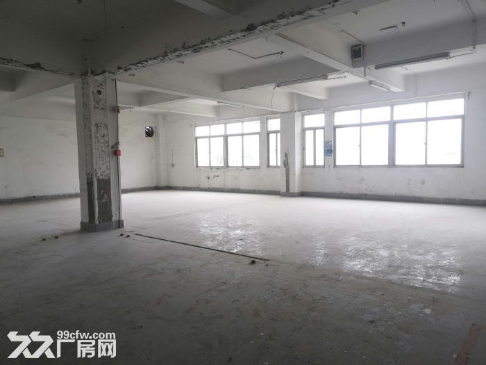 城东南浦工业区整栋厂房诚意出租一万平城东 洛江 有意向联系-图7