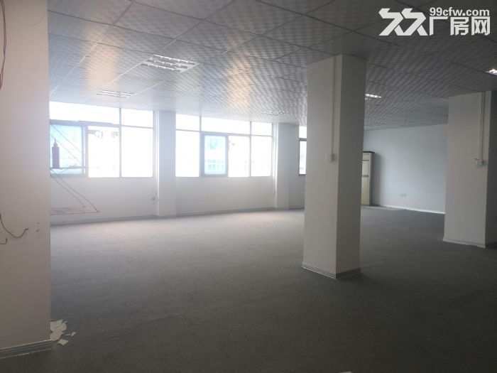 城东南浦工业区整栋厂房诚意出租一万平城东 洛江 有意向联系-图8